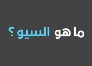 ماهو السيو وأهميته