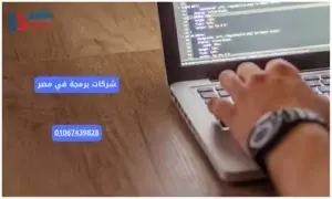 شركات برمجة في مصر