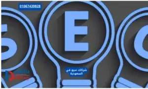 شركات سيو في السعودية