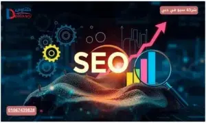 شركة سيو في دبي