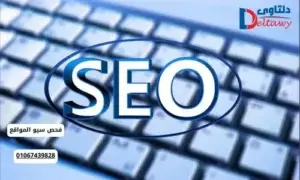 فحص سيو المواقع