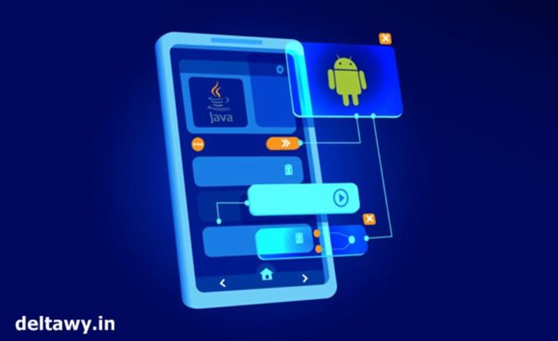 شركة برمجيات في مصر